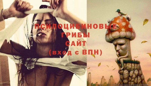 прущий лед Верея